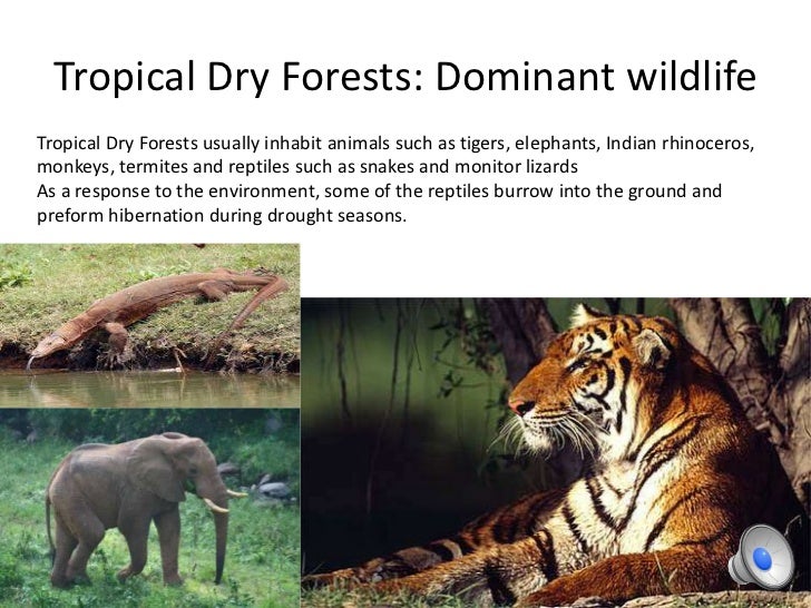 10 biomes