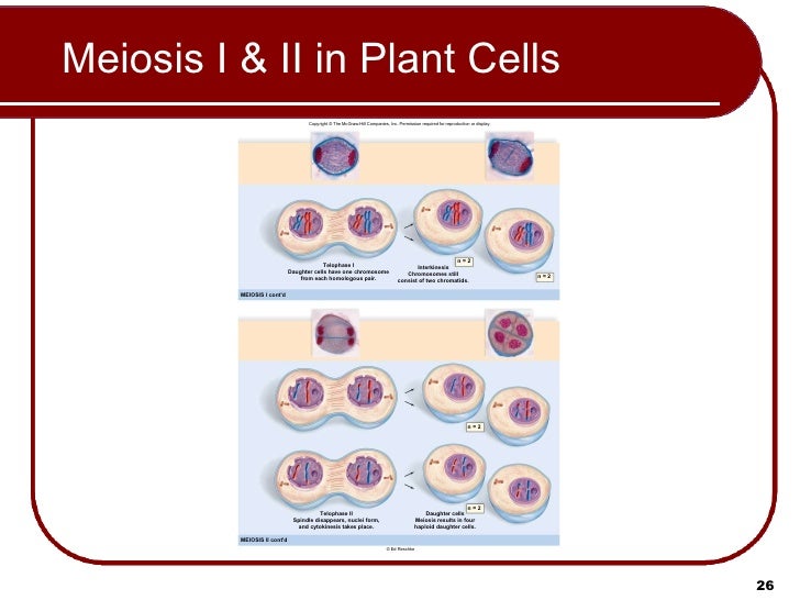 10 Lecture Animation Ppt