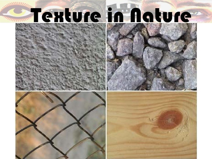 The Visual Elements of Art TEXTURE