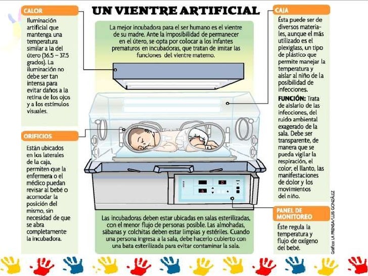 Manual De Usuario De Incubadora Neonatal