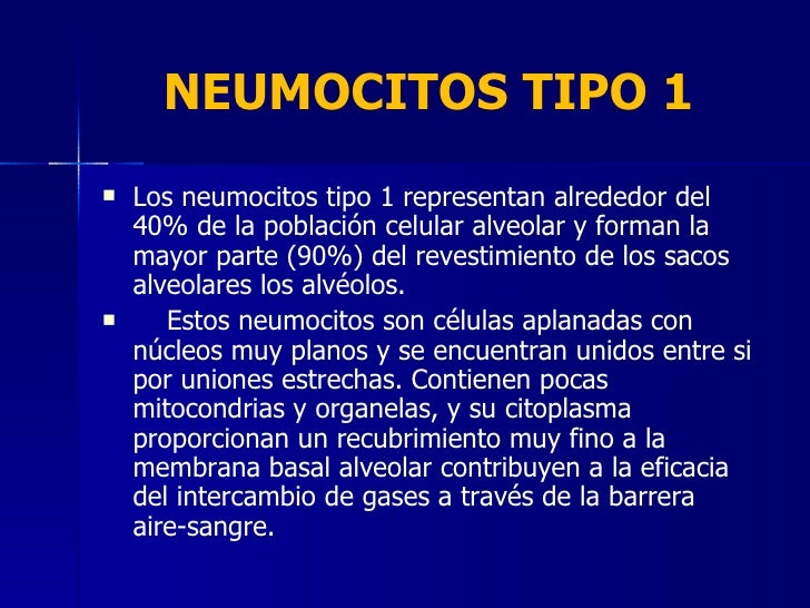11 Histologia Del Sist Respiratorio