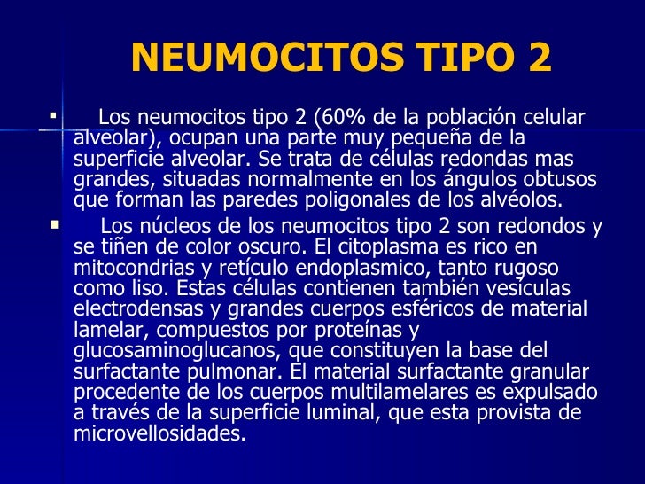 11 Histologia Del Sist Respiratorio