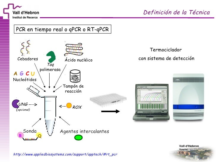 course-vhiructsueb-session-2-rtqpcr-3-728.jpg?cb=1318323447