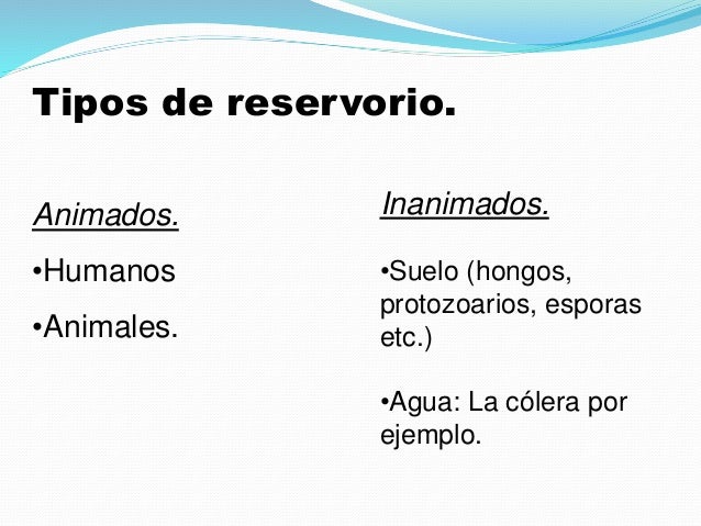 Hay cuanto un análisis a las lamblias