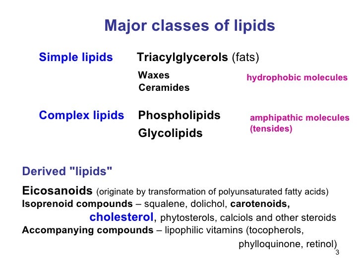 11 lipids