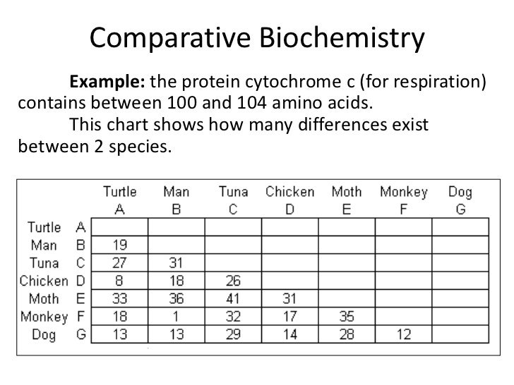 11u bio 03