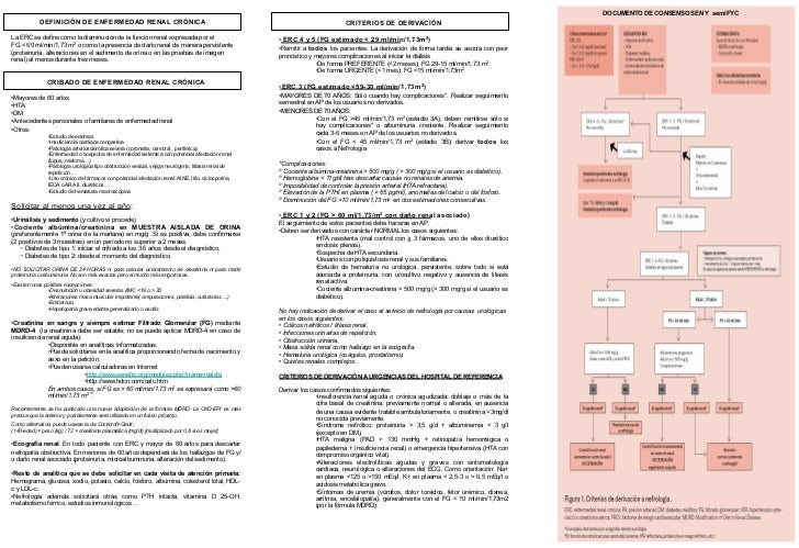 120530 tríptico derivación nefrología pdf 120530 tríptico derivación nefrología pdf