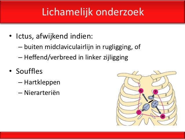 vergrote lever alcohol
