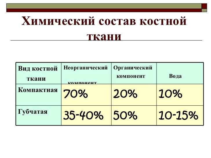 Химический состав позвоночника Химический состав позвоночника