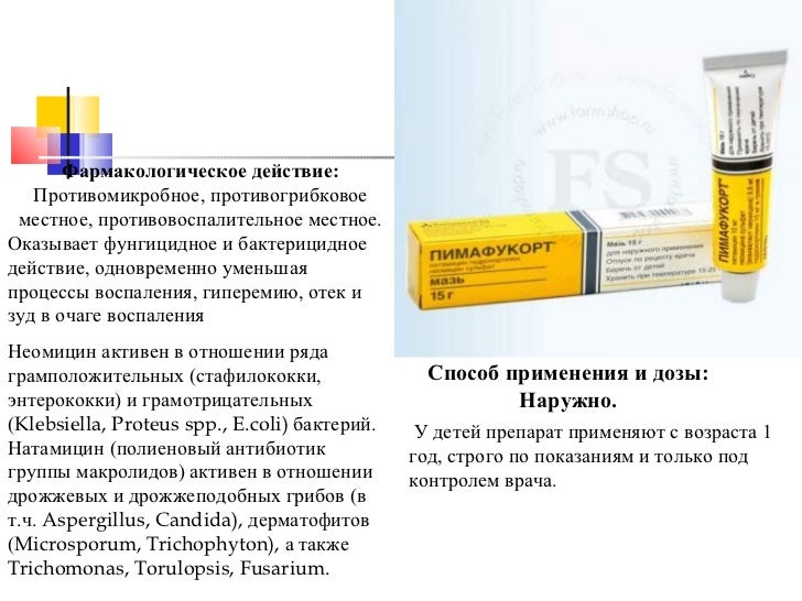 Противомикробное действие вяжущих Противомикробное действие вяжущих