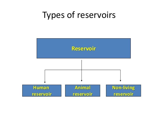 soil investigation report sle infectious disease epidemiology soil investigation report sle infectious disease epidemiology