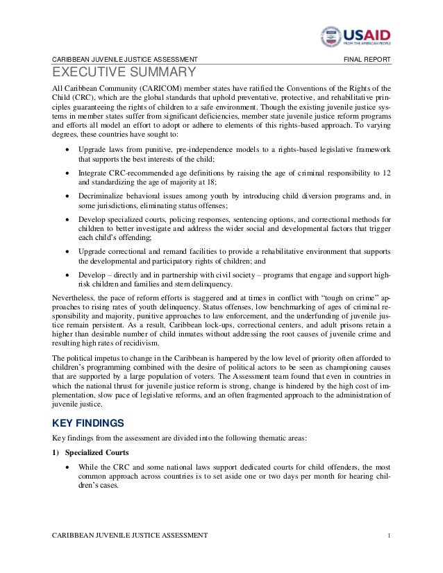 Paper on juvenile justice system picture