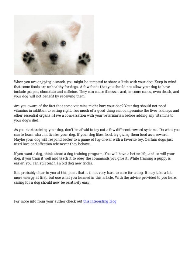 about dogs are you seeking information about dogs then check out these great ti about dogs are you seeking information about dogs then check out these great ti