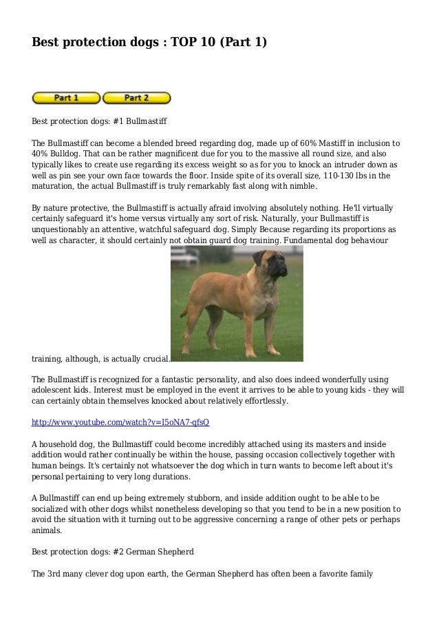 best protection dogs best protection dogs top 10 part 1 best protection dogs best protection dogs top 10 part 1