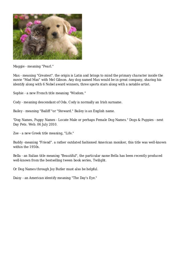 Meaning Of The Name Bailey For A Dog Meaning Of The Name Bailey For A Dog