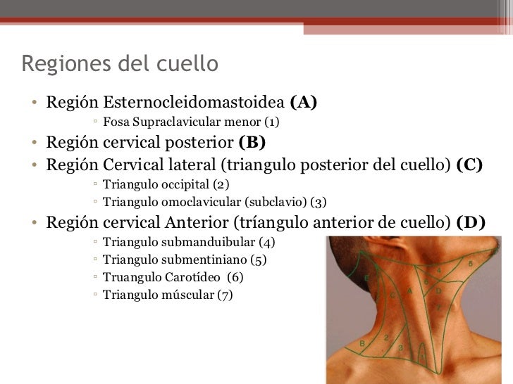 Sheynyy la osteocondrosis el sobreenfriamiento