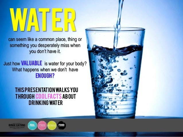 If Animals Didnt Drink Water If Animals Didnt Drink Water
