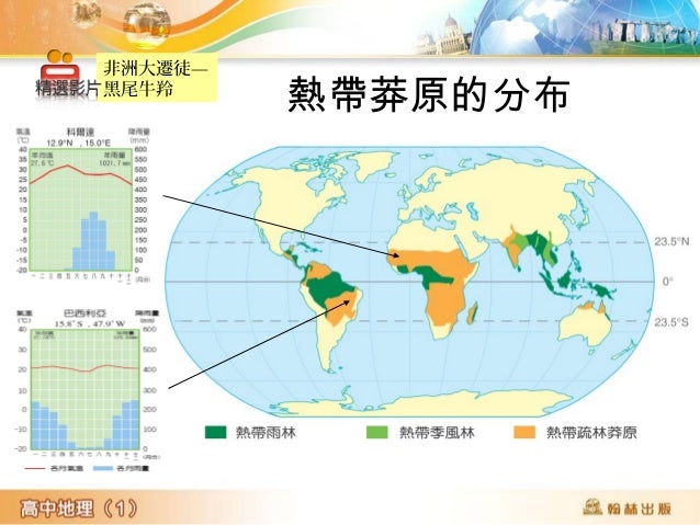 非洲大遷徒—
黑尾牛羚
熱帶莽原的分布