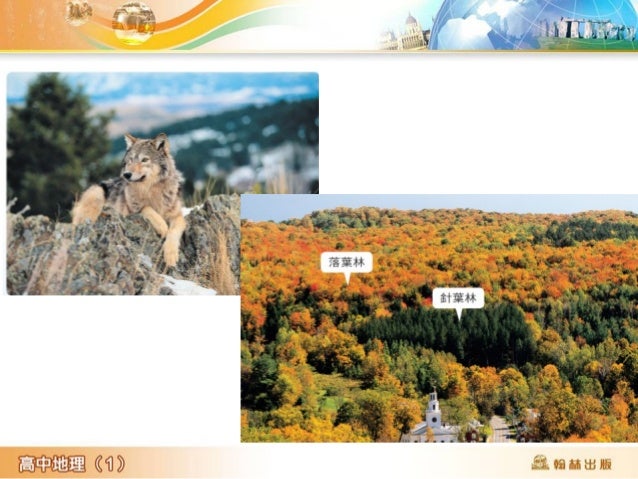 溫帶溼草原
名稱
氣候特
徵
生物 土壤
溼
草
原
鄰近溫帶
森林
1. 草類生長高度達 50
~ 100cm ,草根
深入地下
2. 草食性哺乳動物為優
勢物種,如北美洲的
野牛和麋鹿
3. 兔子與豚鼠等在地下
挖洞,攪拌有機質,
增加土...