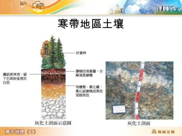 苔原以北是
北極冰原
地表下為永凍土是
長年凍結的土地 苔原以南是
針葉林
美國阿拉斯加永凍土上,每年夏季融化,冬季凍結。
由於永凍土不透水,因而助長地面的沼澤化。