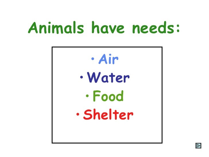 1.5 Animal Needs