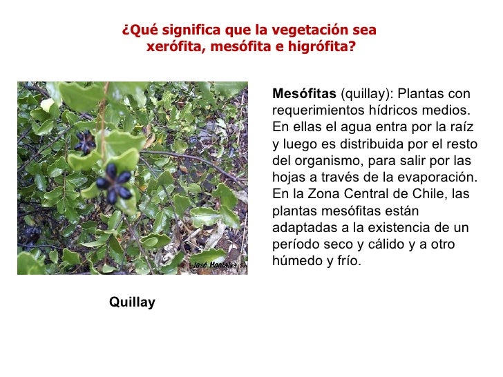 PSU Biogeografia de Chile PSU Biogeografia de Chile