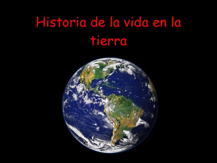 LA CREACION DE LA VIDA EN LA TIERRA la creacion de la vida en la tierra:
