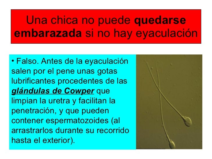 metodos para quedar embarazada de una niña