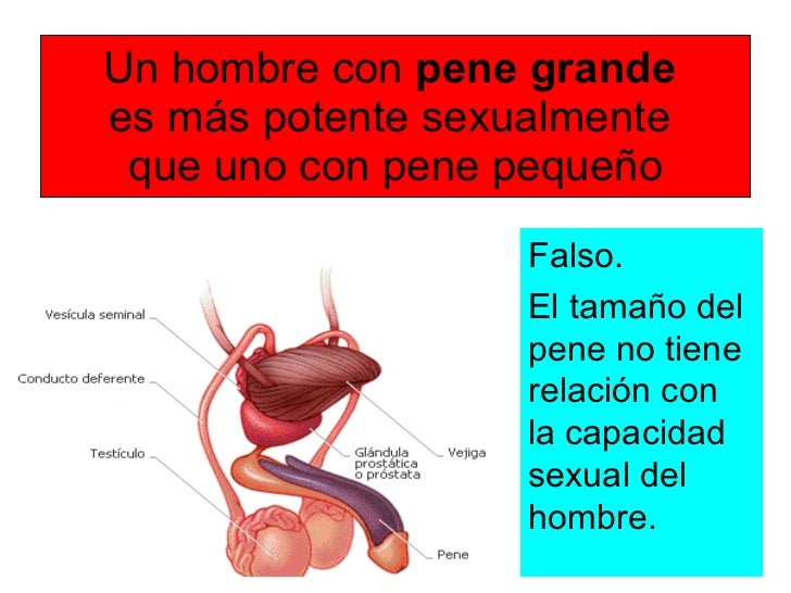 Si es posible tener gran placer en un pequeño miembro