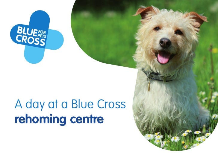 Blue Cross rehoming centre