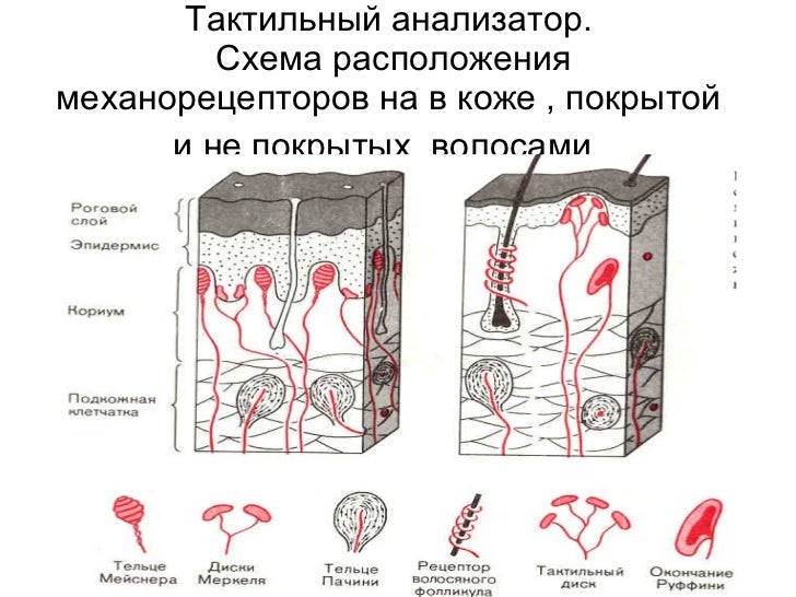 Заполнители морщин (филлеры) все, что нужно знать Дизайн ногтей со стразами (фото рисунки стразами на ногтях)