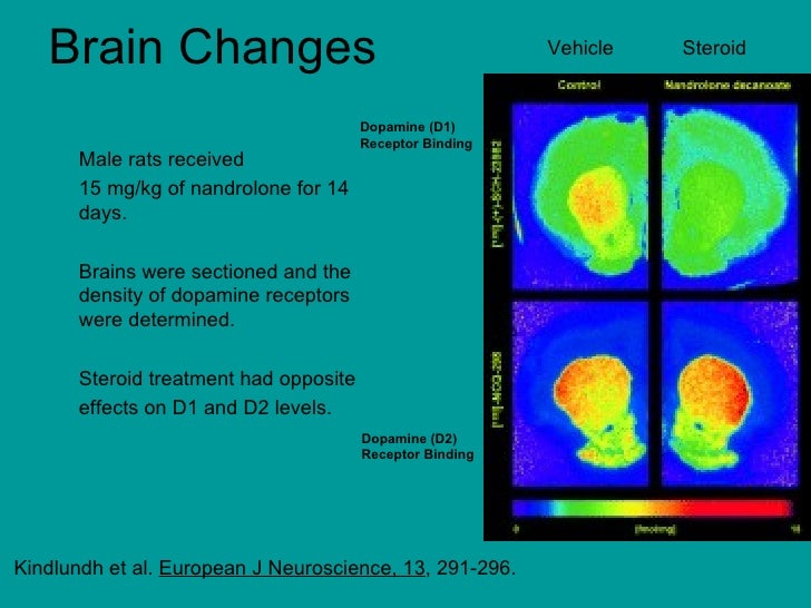 Neuropharmacology: Anabolic Steroids
