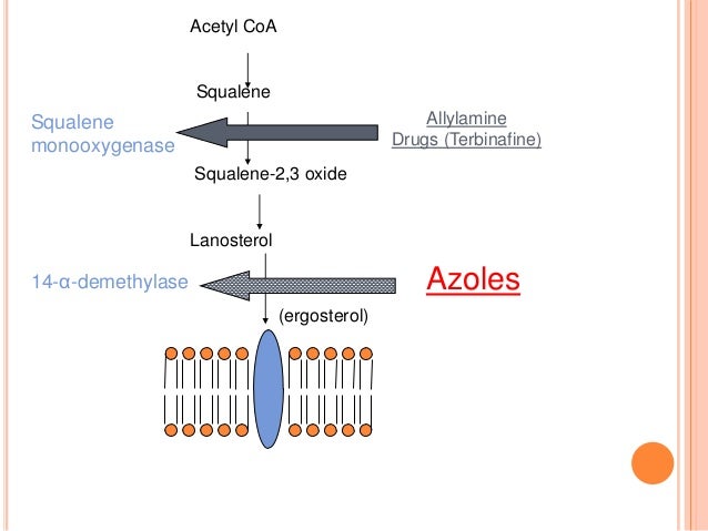 2019 year - Miconazole Topical 2019 year