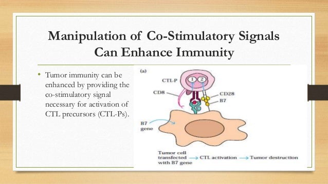 Immunotherapy Herceptin