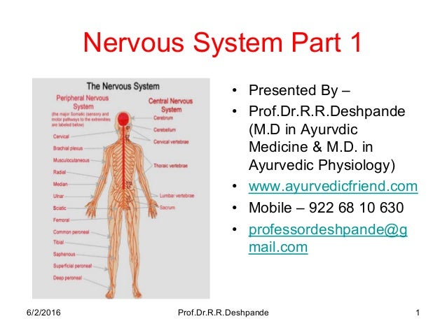 Nervous system part 1