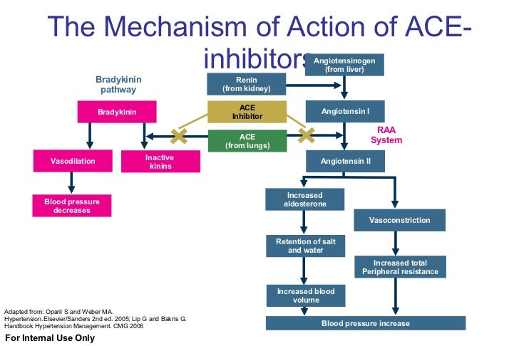 Ace Inhibitors And Viagra