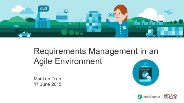 agile environment