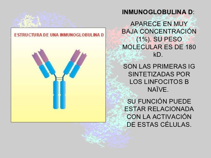 dieta para adelgazar la panza y cintura dieta para adelgazar la panza y cintura