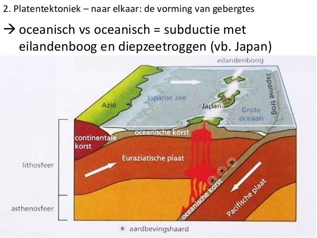 19 endogene processen