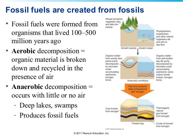 19 lecture Fossil Fuels