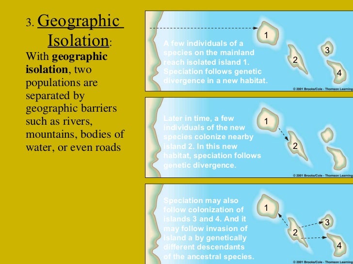 What is geographic isolation?
