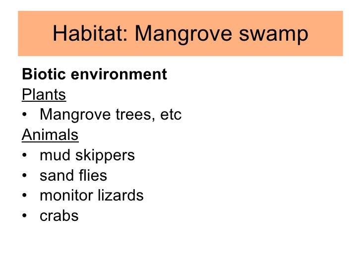 Chapter 21 Ecology Lesson 1 Biotic and abiotic factors