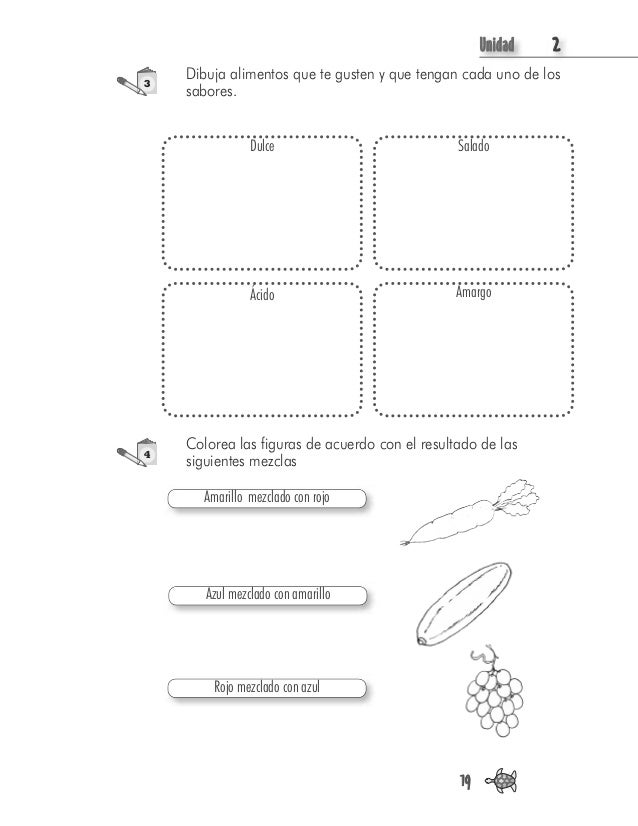 UUnidad 2
19
Dibuja alimentos que te gusten y que tengan cada uno de los
sabores.
3
Dulce Salado
Ácido Amargo
4
Colorea la...