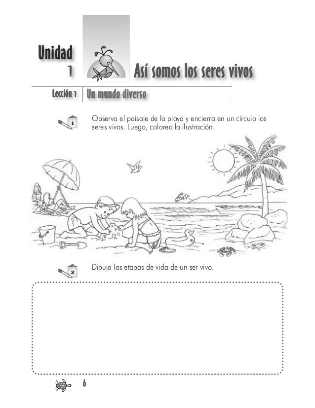 UUnidad
1 Así somos los seres vivos
Lección 1 Un mundo diverso
6
Observa el paisaje de la playa y encierra en un círculo l...