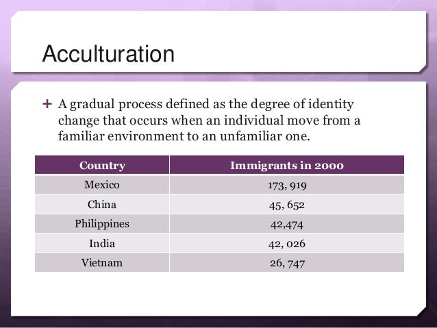Ethnic identity essay