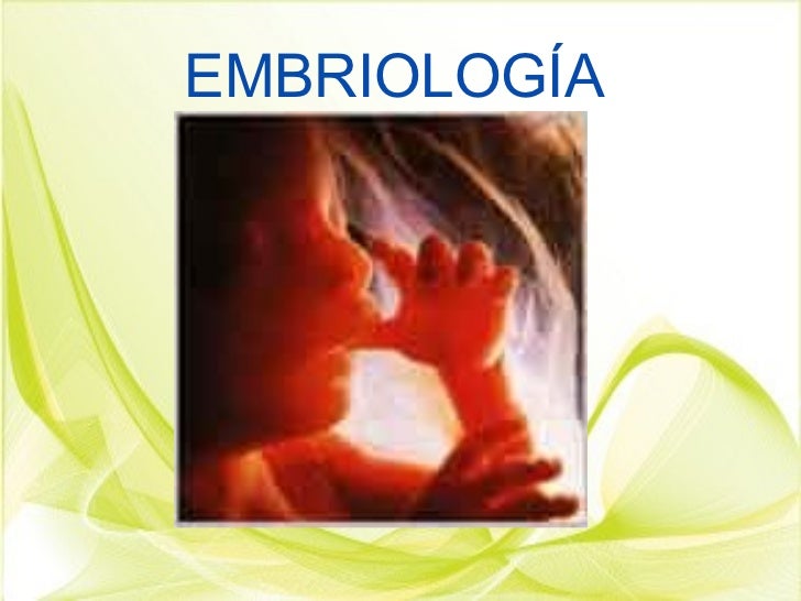 EMBRIOLOGIA GENERAL embriologia general:
