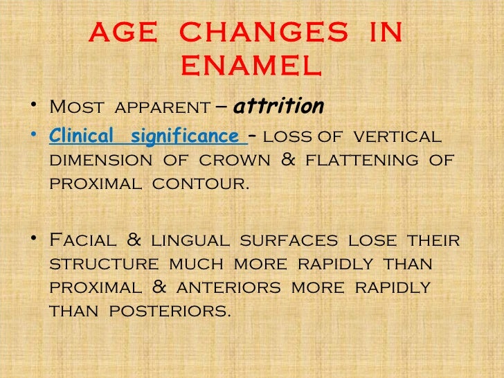 1 enamel dentin pulp