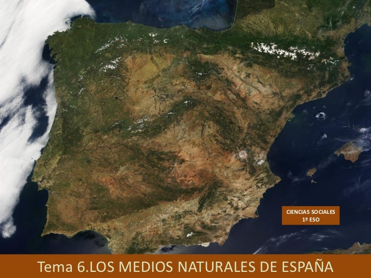 La máscara para el crecimiento de los cabello en cuántos centímetros crecerán los cabellos