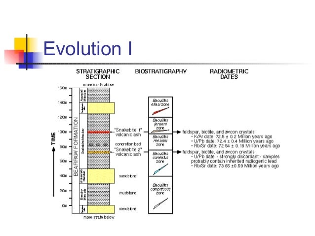Carbon-14 is useful for dating fossils that are less than