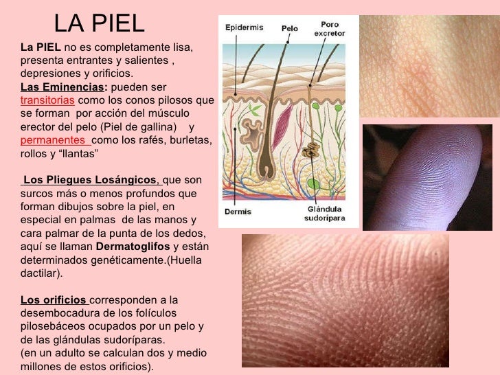 La agua oxigenada con el limón de las pecas